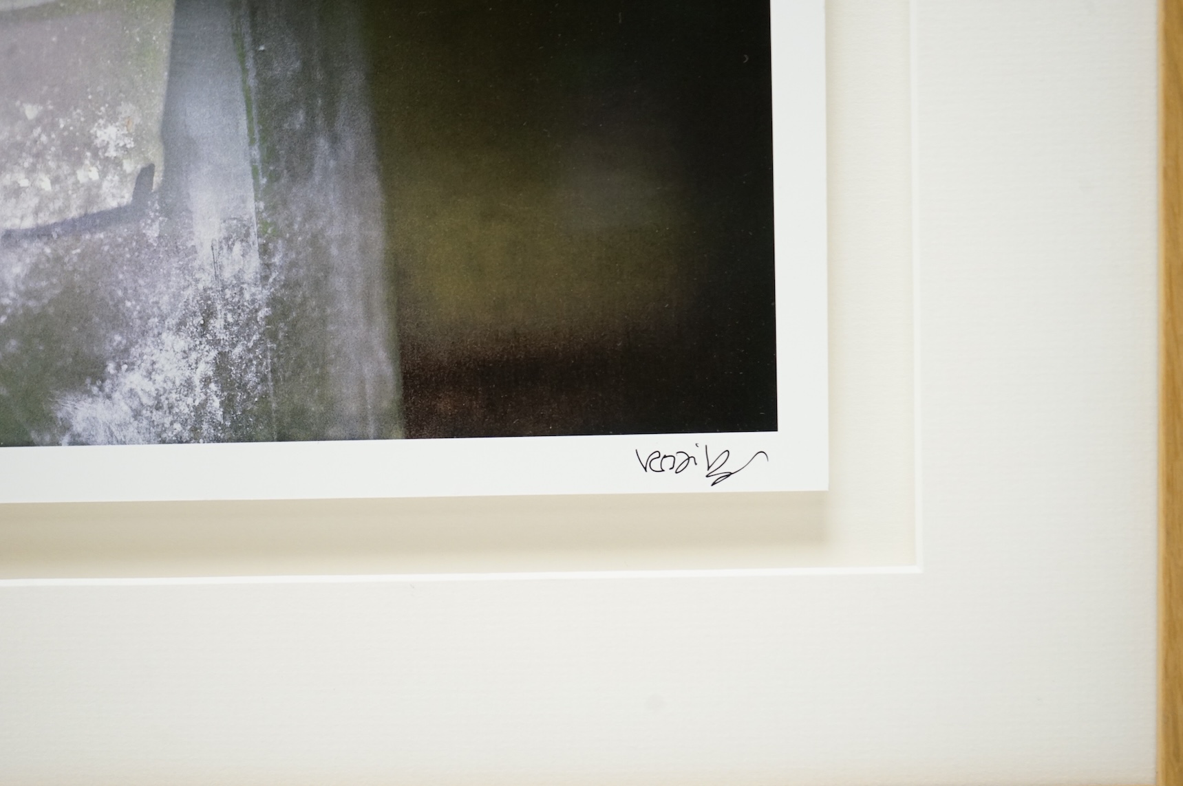 Valda Bailey (contemporary), Still life’s of fruit and flowers, one titled ‘Rainbow’, the other signed and numbered in ink, two photographic prints, largest 32 x 47cm